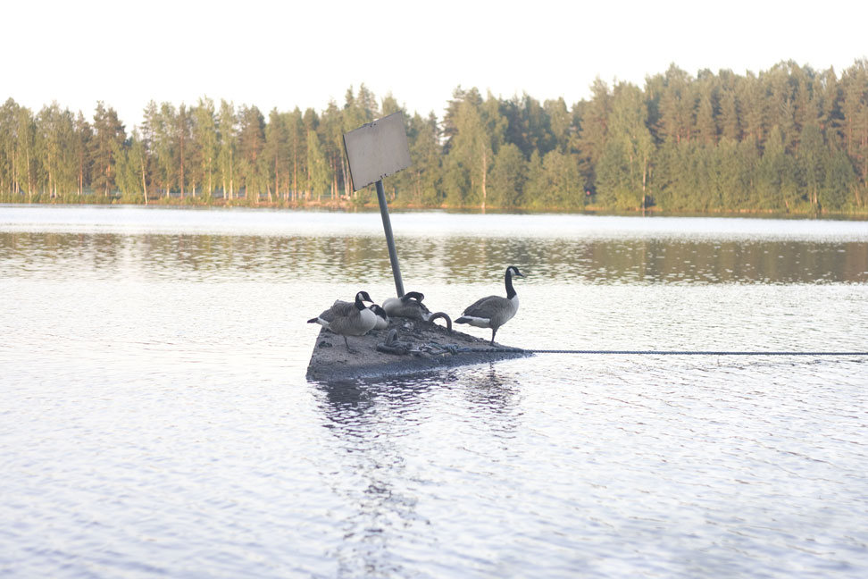 img_9794.jpg