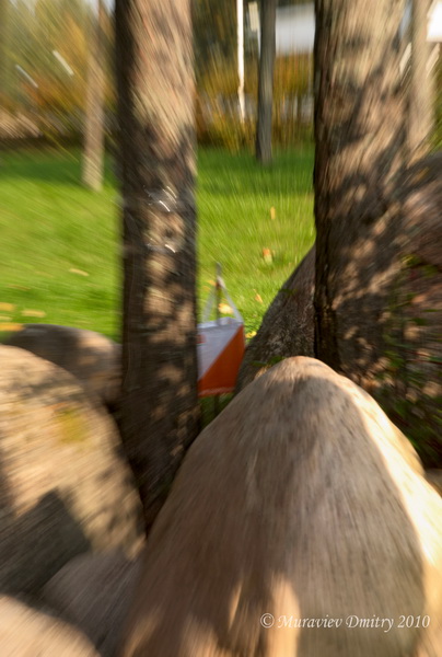 DSC_0118_resize.JPG