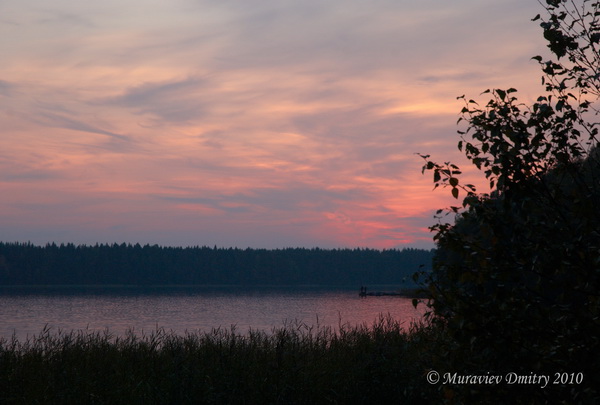 DSC_0272_resize.JPG