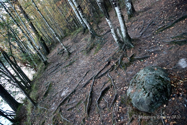 DSC_0275_resize.JPG