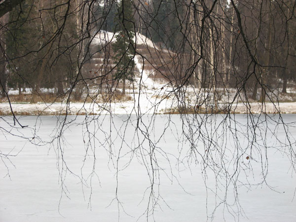 tr1_047.jpg
