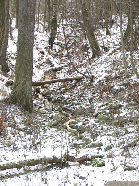 tr1_049.jpg