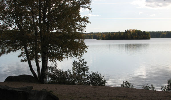 IMG_3679.jpg