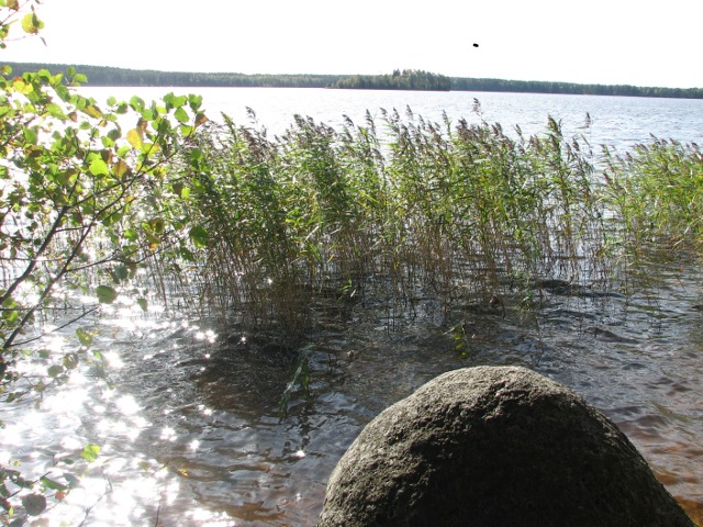 IMG_14p.jpg