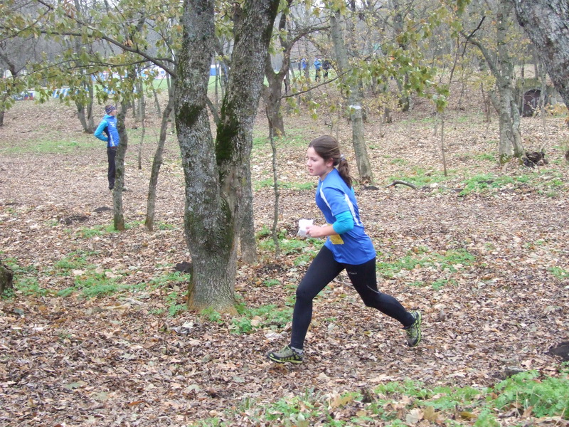 2014nov16.JPG