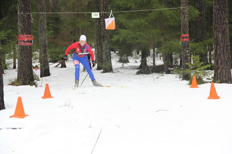 IMG_9548.jpg